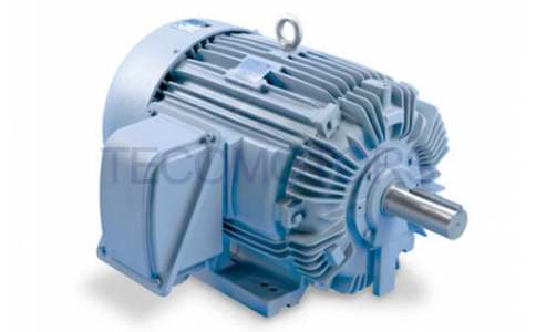 TECO IEEE-841 Motors